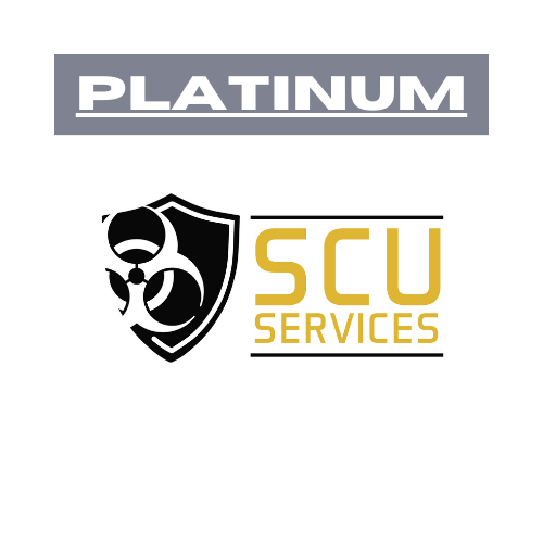 Platinum Sponsorship